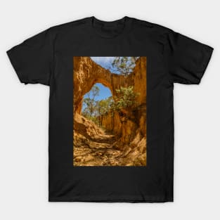 Golden Gully Arch T-Shirt